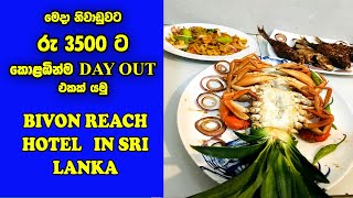 කොළඹට ළගින්ම දවසක්  Day Outing Places In Colombo Sri Lanka  Bivon Reach Hotel In Sri Lanka [upl. by Shriver]