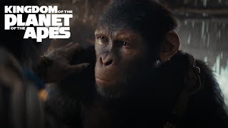 Kingdom of the Planet of the Apes  Stream Only On Hulu August 2 [upl. by Sadowski958]