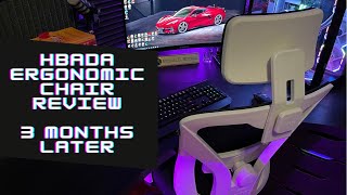 Hbada Ergonomic Chair Review  3 Months Later [upl. by Quitt690]