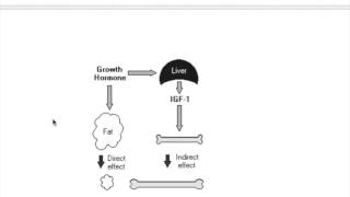 Somatomedin insulin like growth factorIGF [upl. by Ekud]