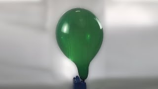 116 BTP  green long neck balloon blow to pop to shreds [upl. by Pegasus]