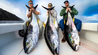 1000lbs of Most EXPENSIVE Tuna Catch Clean Cook Giant California Bluefin tuna [upl. by Lamp938]