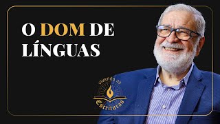 O Dom de Línguas  Augustus Nicodemus  VivendoAsEscrituras [upl. by Anaek]