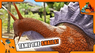 TAMING ACHATINA ARMY FOR ALL THE CEMENTING PASTE  ARK Crystal Isles DLC  EP9 [upl. by Kore637]