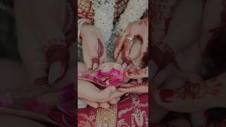 Surbhi Jyoti wedding wedding indianweddingceremony surbhijyoti bollywoodbride bride desi [upl. by Alaric]