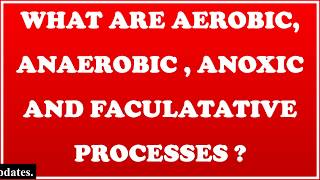 Aerobic Anaerobic Anoxic amp Facultative processes [upl. by Alanna]