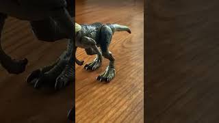 dilophosaurus vs velociraptor [upl. by Tali]