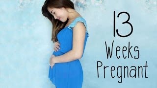 13 WEEK PREGNANCY VLOG  ULTRASOUND FOOTAGE [upl. by Tedda]