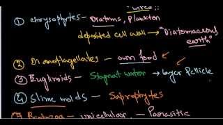 Biological Classifications FULL CHAPTER  Class 11th Botany  Arjuna NEET [upl. by Euqnom]