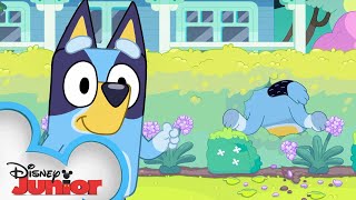 Bluey Season 3 Episode 39 quotExercisequot Episode Clip  disneyjr x BlueyOfficialChannel [upl. by Tobe]