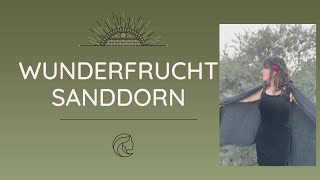 Sanddorn bei Autoimmunkrankheiten wie Neurodermitis amp Co [upl. by Thinia796]