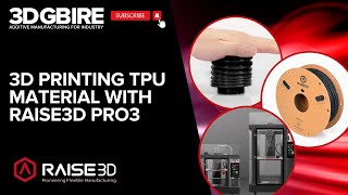 3D Printing TPU Material with Raise3D Pro3 [upl. by Camarata]