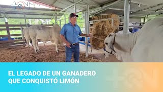 El legado de un ganadero que conquistó Limón [upl. by Irama5]