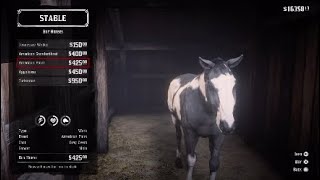 Red dead redemption 2 Javier and other gang member horses for sell [upl. by Mommy]