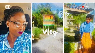 Let’s Tour Wild Florida Airboat amp Gator Park in Kenansville FL [upl. by Nyroc]