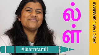 How To Culture Vinegar Eel at Home  TAMIL  aquariumfish [upl. by Avron]