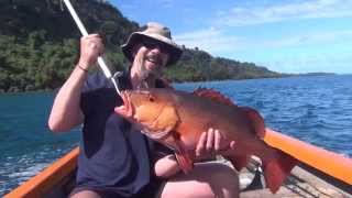 Popper fishing in Vanuatu [upl. by Yesnik]