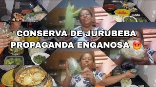 VLOG DO MEU DIA FUI PAGAR A INTERNET\ FIZ CONSERVA DE JURUBEBA E VERDURAS PROPAGANDA ENGANOSA 😡 [upl. by Oer]