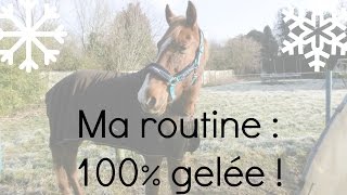 Routine  100 gelée [upl. by Kunz981]