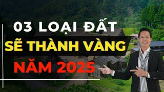 03 loại đất trở thành vàng khi luật đất đai mới thực thi năm 2025  Hiệp Bất Động Sản Official [upl. by Clarisa]