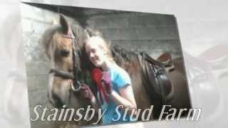 Riding School – Stainsby Stud Farm [upl. by Susy]