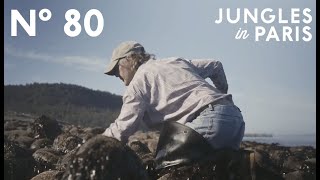 HandPicking the Prize Seaweed of Grand Manan New Brunswick [upl. by Kettie]