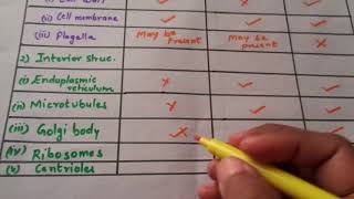 Differences between bacterial animal and plant cells [upl. by Statis]