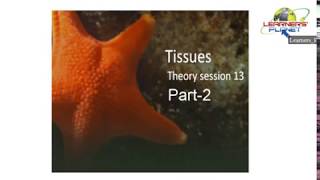 CBSE IX biology tissues video lecture 13 Part 2 [upl. by Nawat]