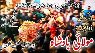 16 muharram chuna mandi  zuljanah baramdagi molai badshah  16 muharram katri bawa  andron lahore [upl. by Malley351]