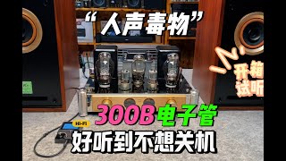 人声毒物300B胆机，好听到不想关机 [upl. by Campney217]