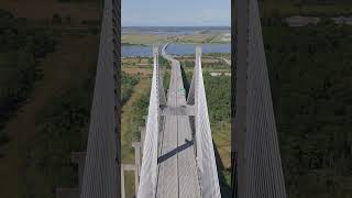 Talmadge Memorial Bridge savannah georgia drone [upl. by Geordie]