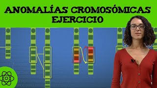 Ejercicio de anomalías cromosómicas 🧬 translocación I [upl. by Ecar]