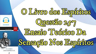 Ensaio Teórico da Sensação nos Espíritos  Questão 257  Audiobook  livro dos espíritos [upl. by Wilfred172]