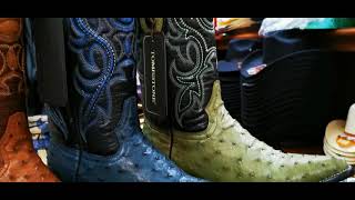 Bota De Avestruz Original  Ostrich Western Boots [upl. by Mortie847]