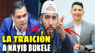 CALEB NAVARRO SUELTA LA SOPAYOUTUBERS Y TIKTOKERS ASESORES DE LA ASAMBLEA LEGISLATIVA [upl. by Sarita]