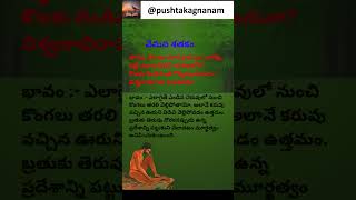 Vemana Shatakam వేమన శతకం Short 143 subscribe pushtakagnanam vemanapoems vemanasatakam vemana [upl. by Anoirtac]