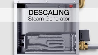 Descaling SAWO steam generators [upl. by Haeluj]