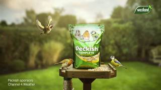 Peckish 2019 TV Sponsorship Channel 4 Weather Showreel [upl. by Neerom]