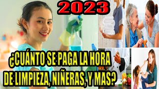 👉 CUANTO SE PAGA LA HORA de empleada domestica 2023 niñera cuidado de personas cocineros [upl. by Lezah]