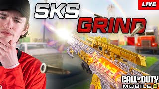 6 Finger Handcam  SKS Leaderboard GRIND CoD Mobile [upl. by Oran234]