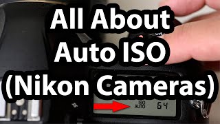 All About Auto ISO Nikon Cameras [upl. by Tann]