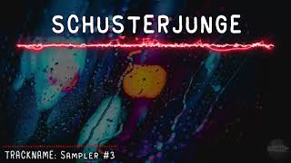 Schusterjunge  Sampler 3  HARDTEKK  HD [upl. by Aloin]