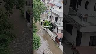 Baroda after every rain 🌧️ baroda barodian vadodara rain poojapotdar flood shorts [upl. by Naaman683]