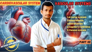 BLOOD VESSELS IN HUMAN  Arteries veins anatamosis end arteries capillary refill timeCVS Prt 02 [upl. by Mian758]