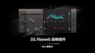 SSL Flexverb 混响插件  正如其名非常灵活可控的高品质混响 [upl. by Gnad]