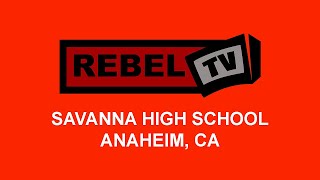 Rebel TV  January 31 2024 [upl. by Longmire567]