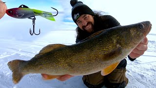 Lake Diefenbaker Walleye Slap Down ACME Hyper Rattles Multi Species [upl. by Sonitnatsnok]