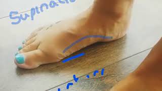 Pronation supination foot vid [upl. by Slayton775]