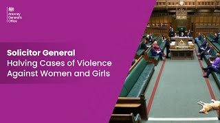 Solicitor Generals Questions  Commitment to Halve Cases of Violence Against Women and Girls [upl. by Cinamod940]