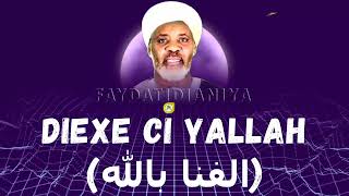 Diexe Ci Yallah Mooy Lane الفنا بالله  Niou Déglou Baye Niass •Faydatidianiya [upl. by Eirrot]